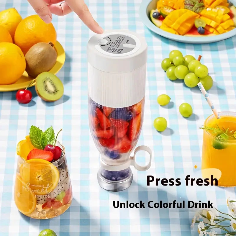 Fruit Juicer