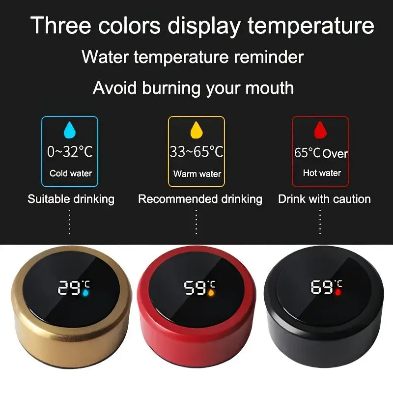 Smart Display Water Bottle (Multicolor)